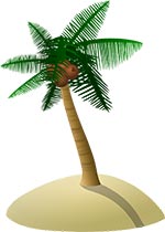 Palmträd Kokosolja nyttigt