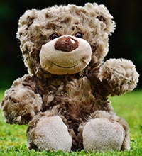 sittande teddybjörn - Drömtydning Björn